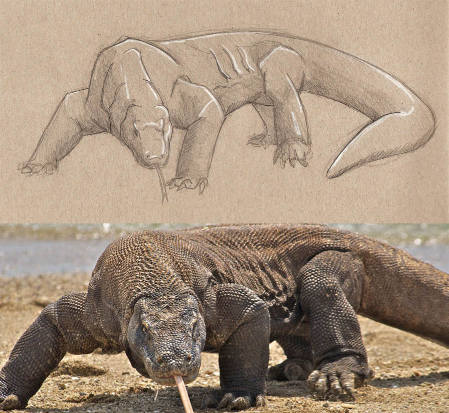 DragonDeKomodo01.jpg