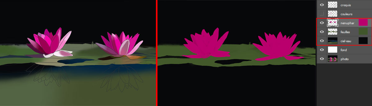 Etape_1_nenuphar.jpg