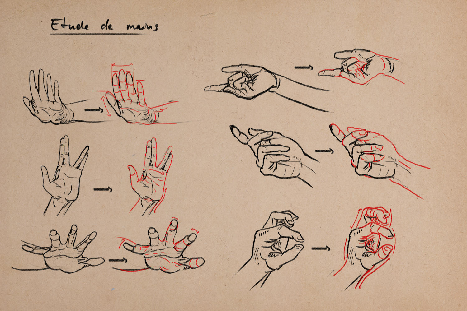 Etude-Mains-04.jpg