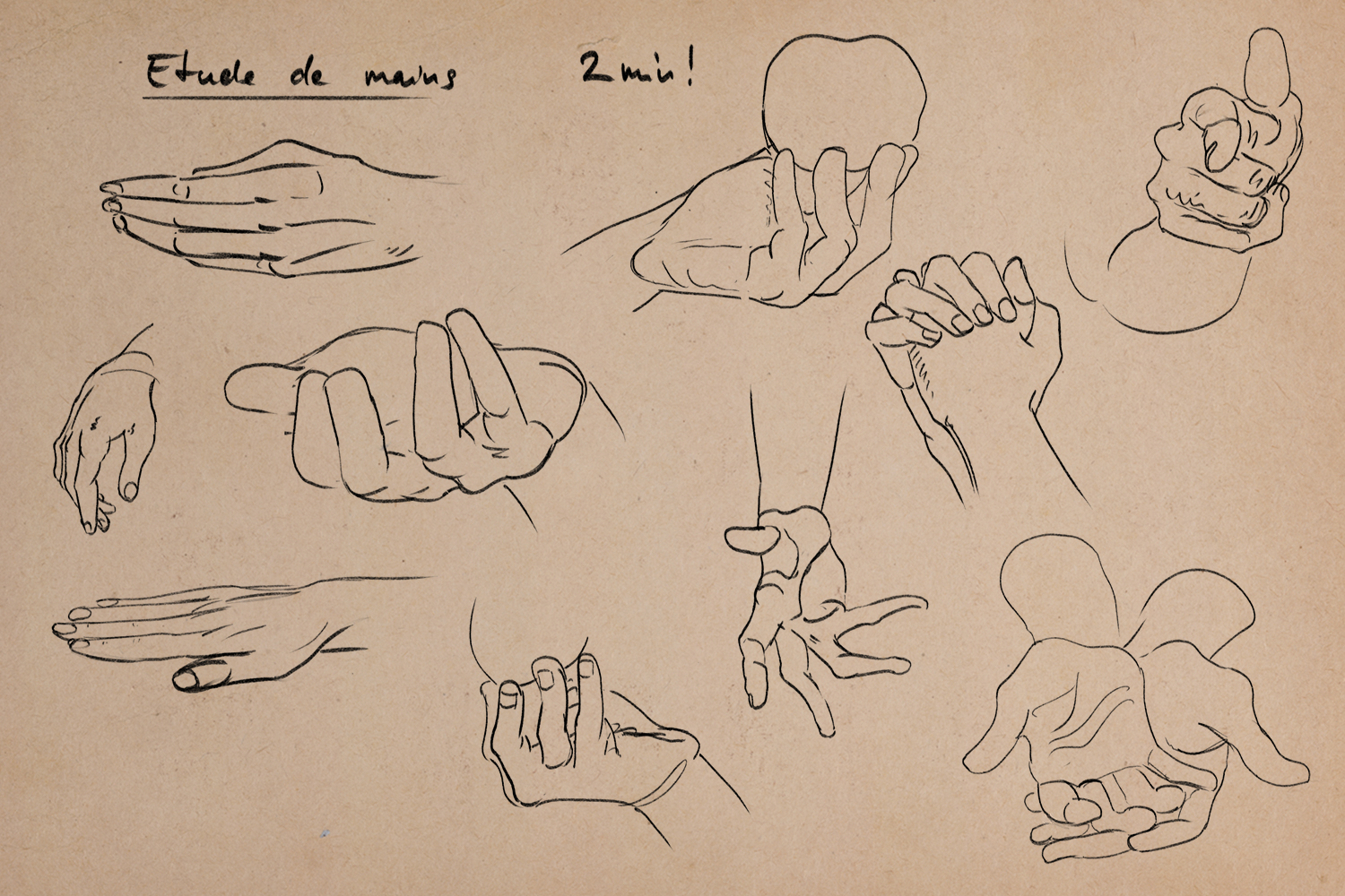 Etude-Mains-06.jpg