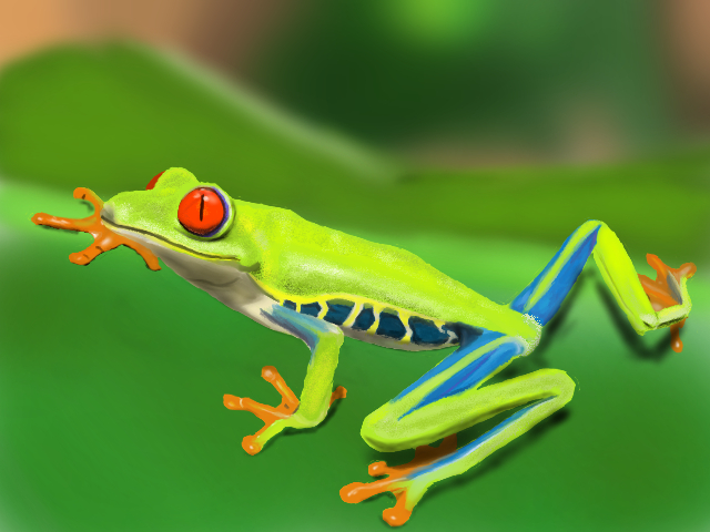 Etude-grenouille-1.jpg