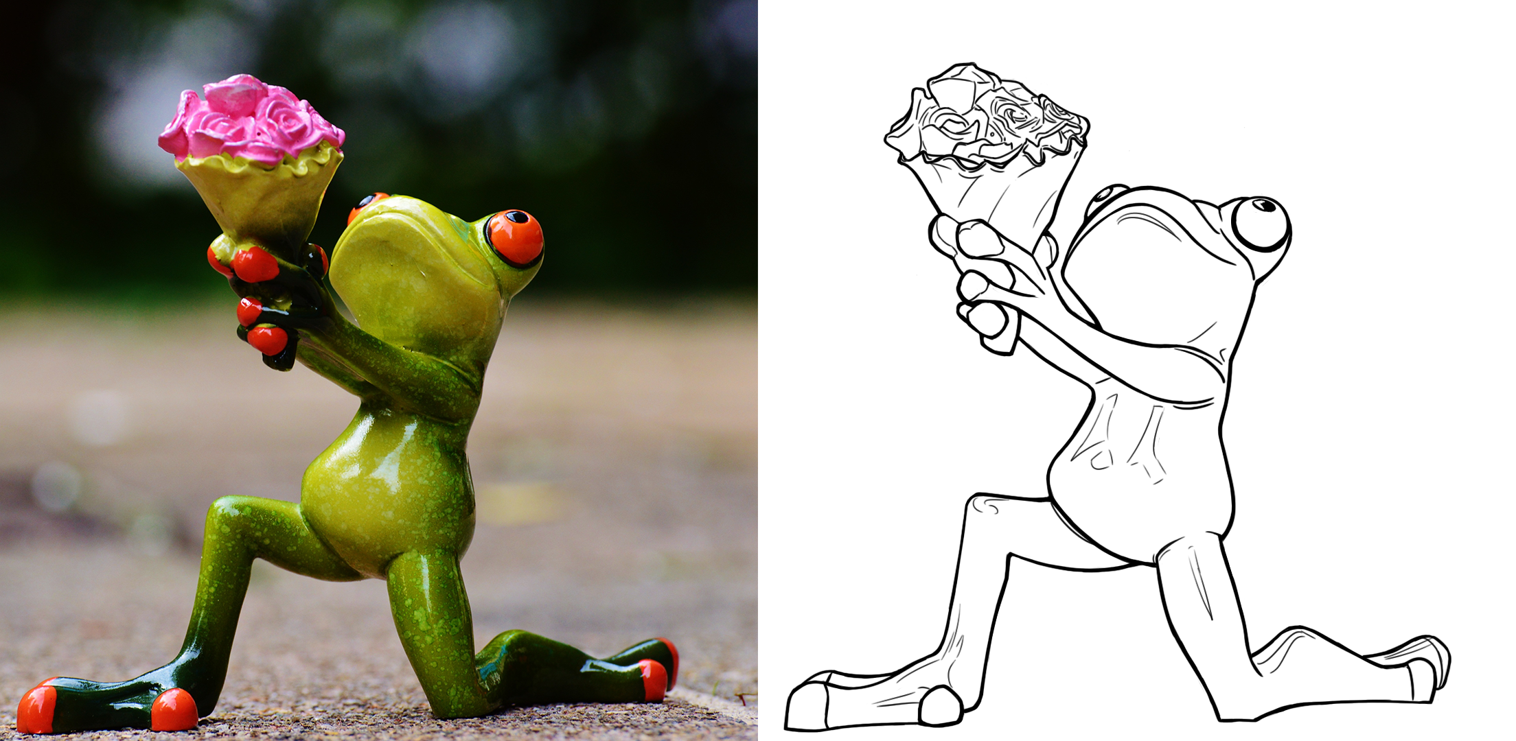 Exercice-5-croquis-grenouille.png