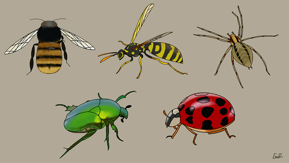 Exercice-Hebdomadaire-45-1.jpg