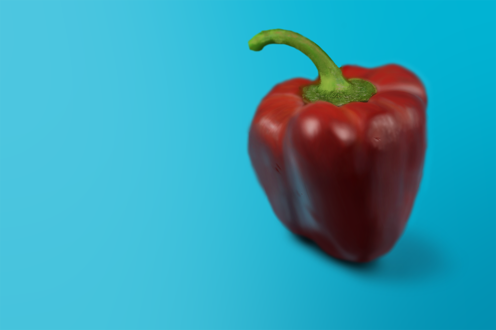 Exercice4-etude-photo1-Lau-lo2.png