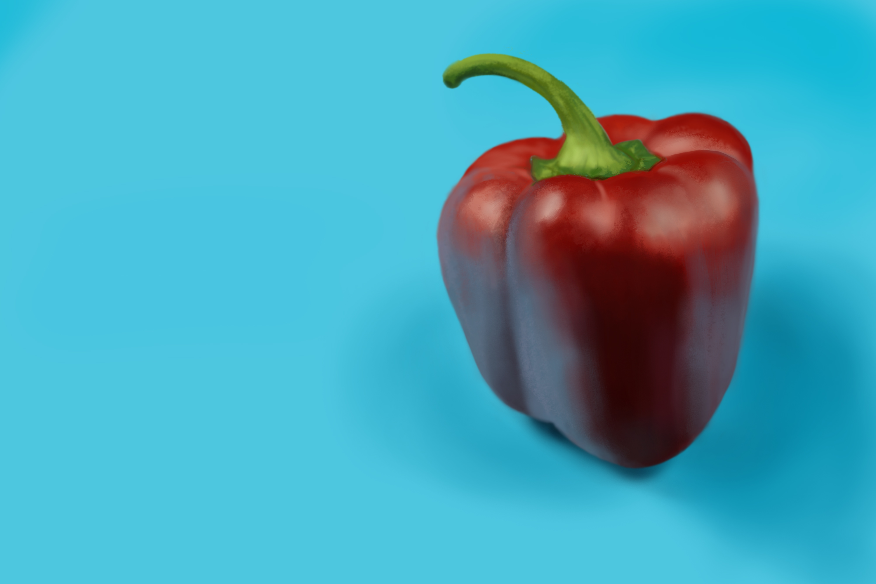Exercice4-etude-photo1fait-1.jpg