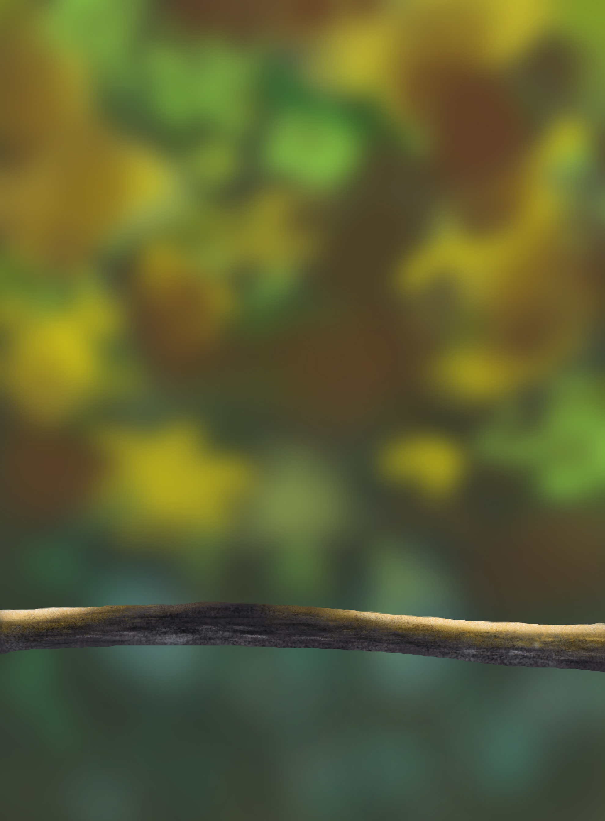 Exercice5-Oiseau-Commencement-correction