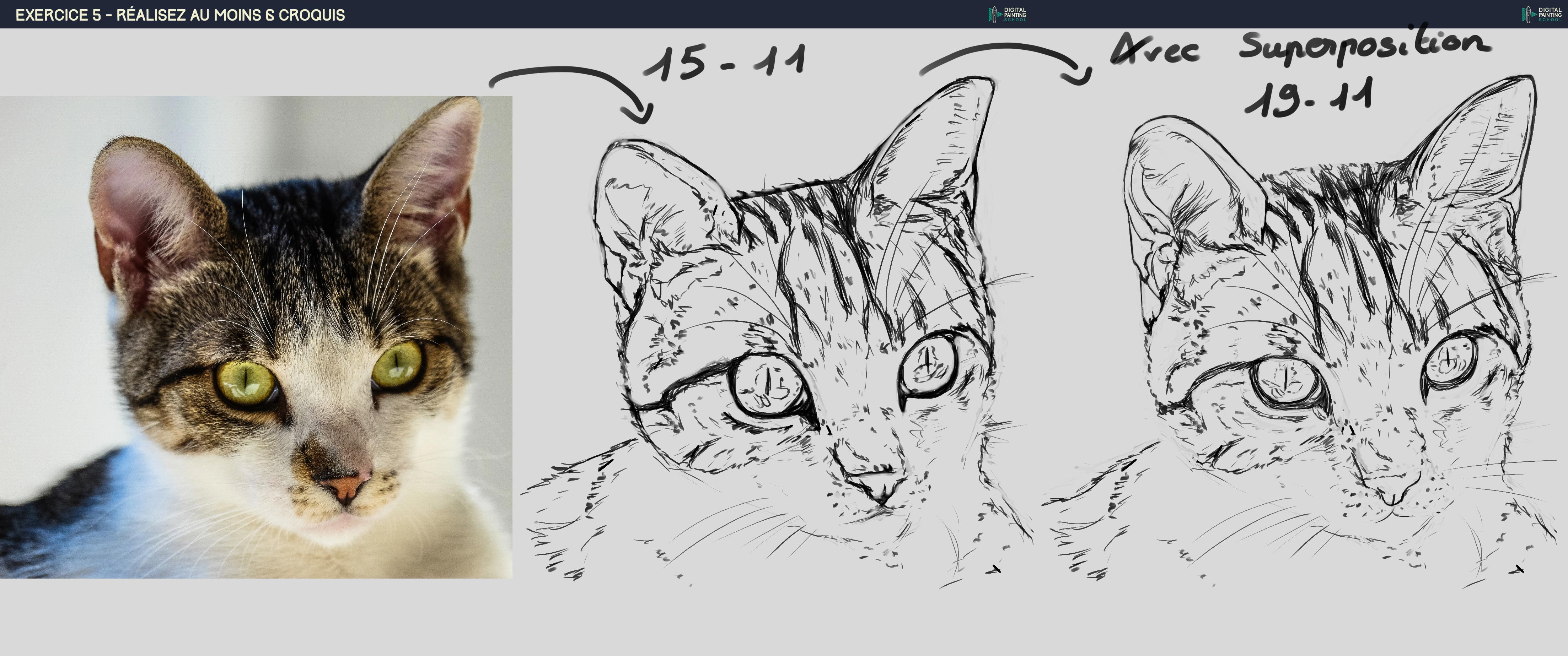 Exercice_5_Chat_19_11_2016.jpg