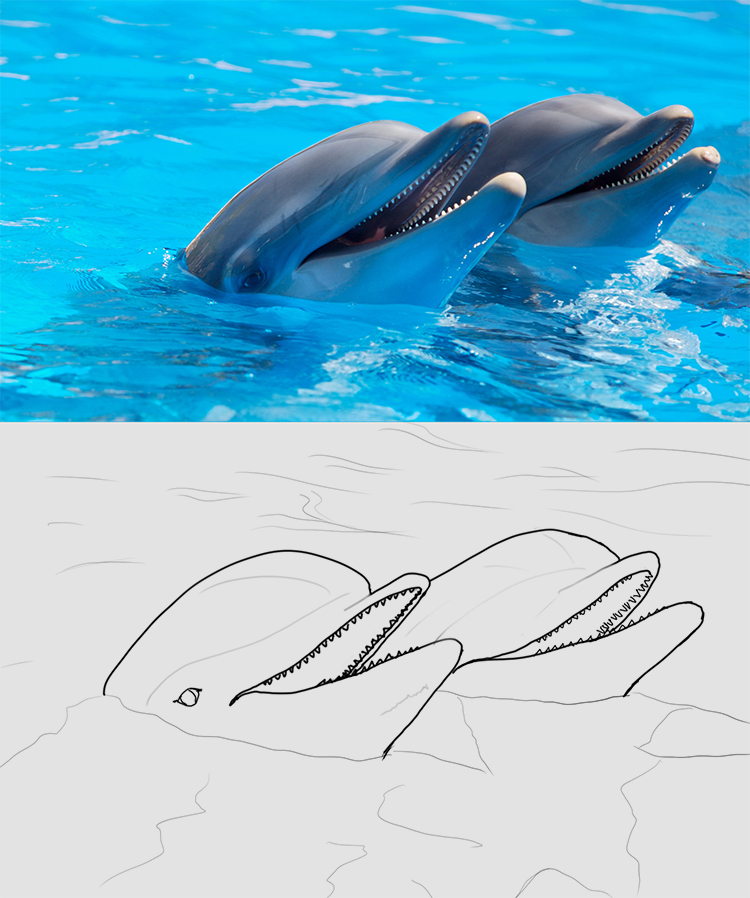 Exo-1-croquis-dauphins.jpg