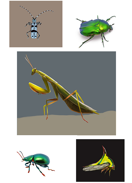 Exo-hebdo-45-insectes.jpg