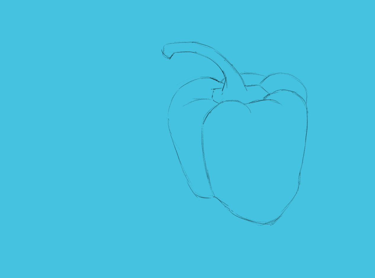 Exo-poivron-croquis-2.jpg