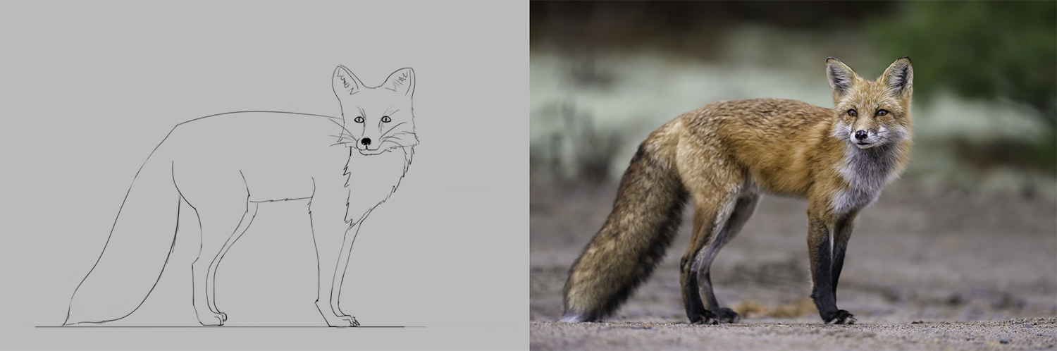 Fox.png
