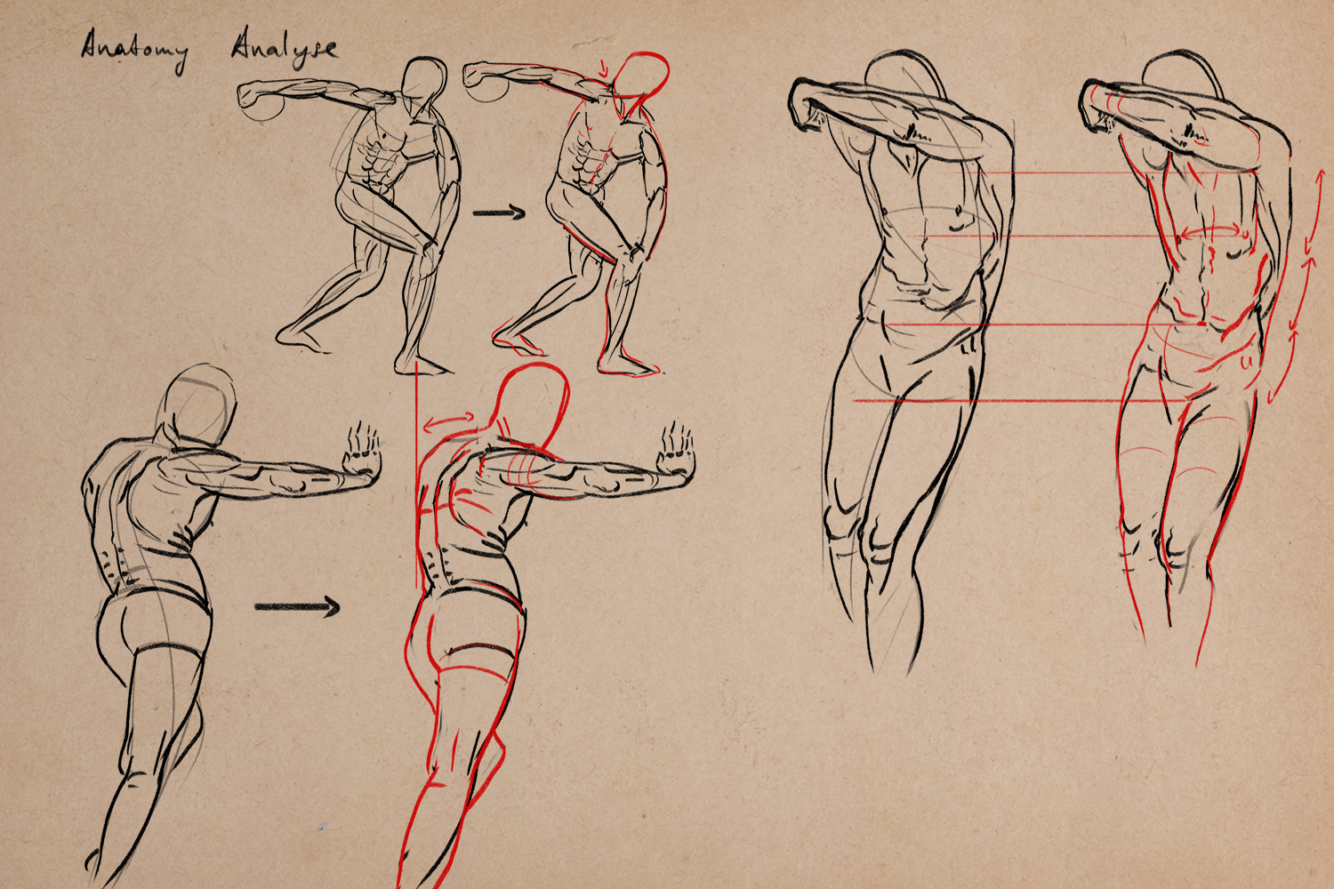 Gesture-anatomy-03.jpg