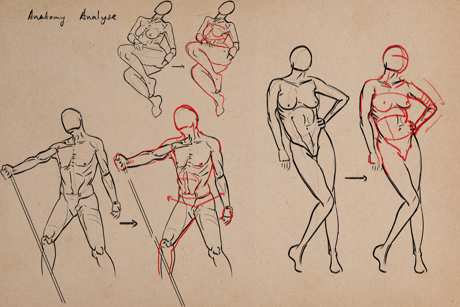 Gesture-anatomy-04.jpg