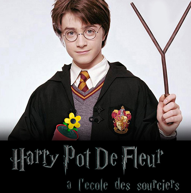 Harry_pot_de_fleur_a_ecole_des_sourciers