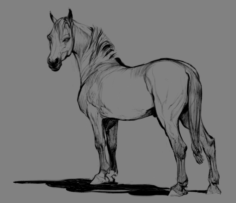 Horse-sketch2.jpg