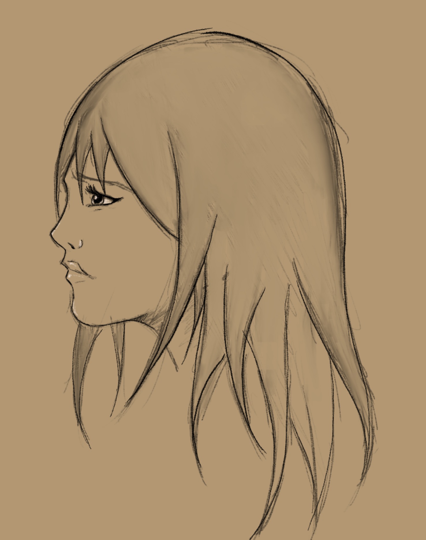 IMG_0504.png