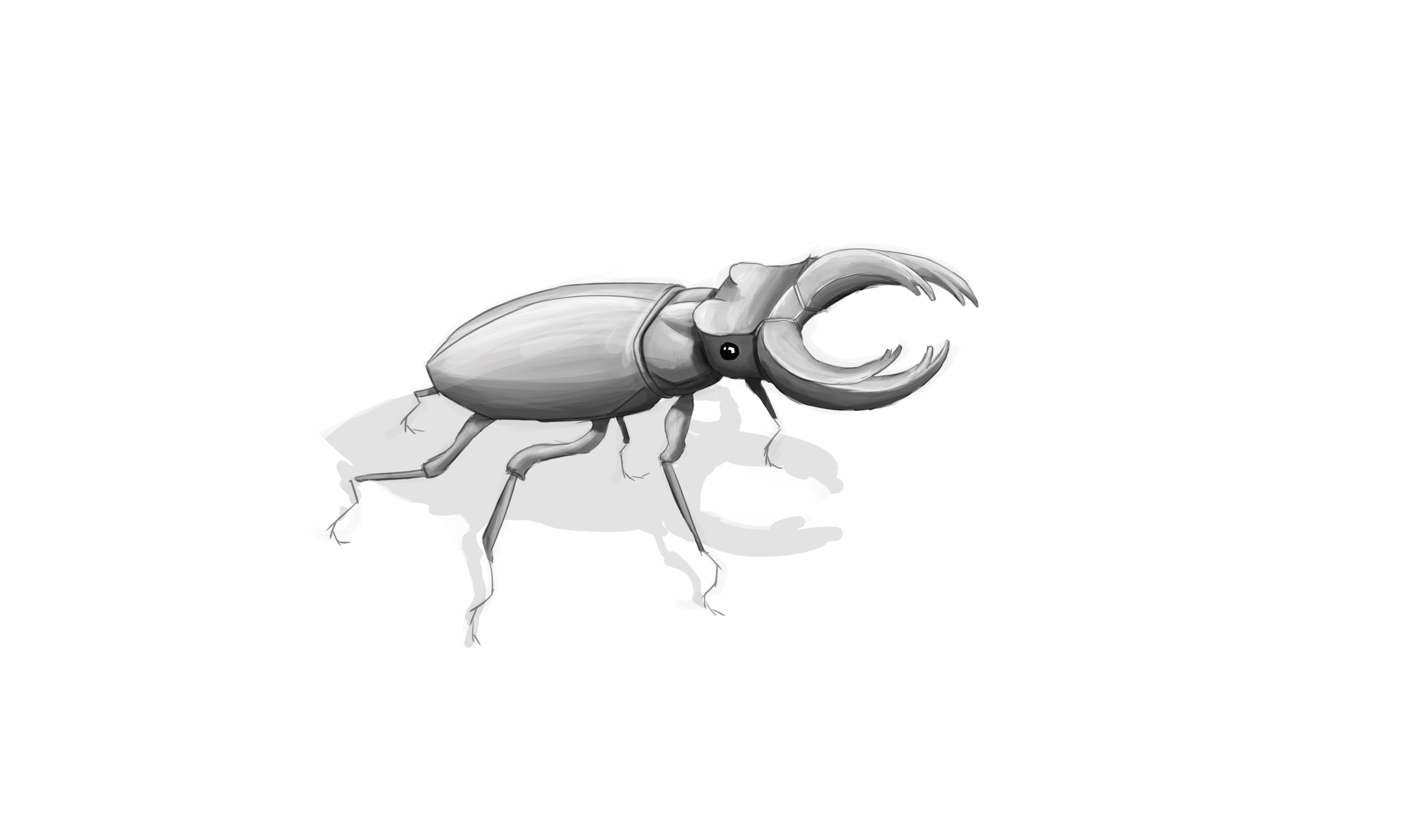 J14.jpg