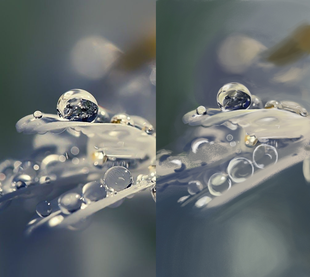 Jour34_Goutte.jpg