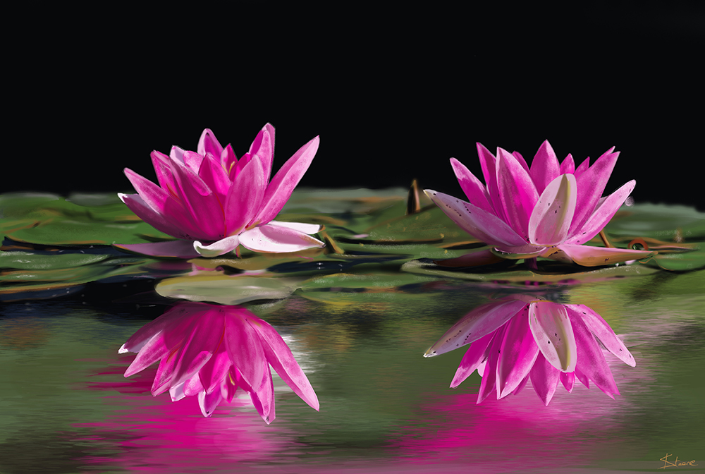 Lotus_flowers_1000_px.jpg