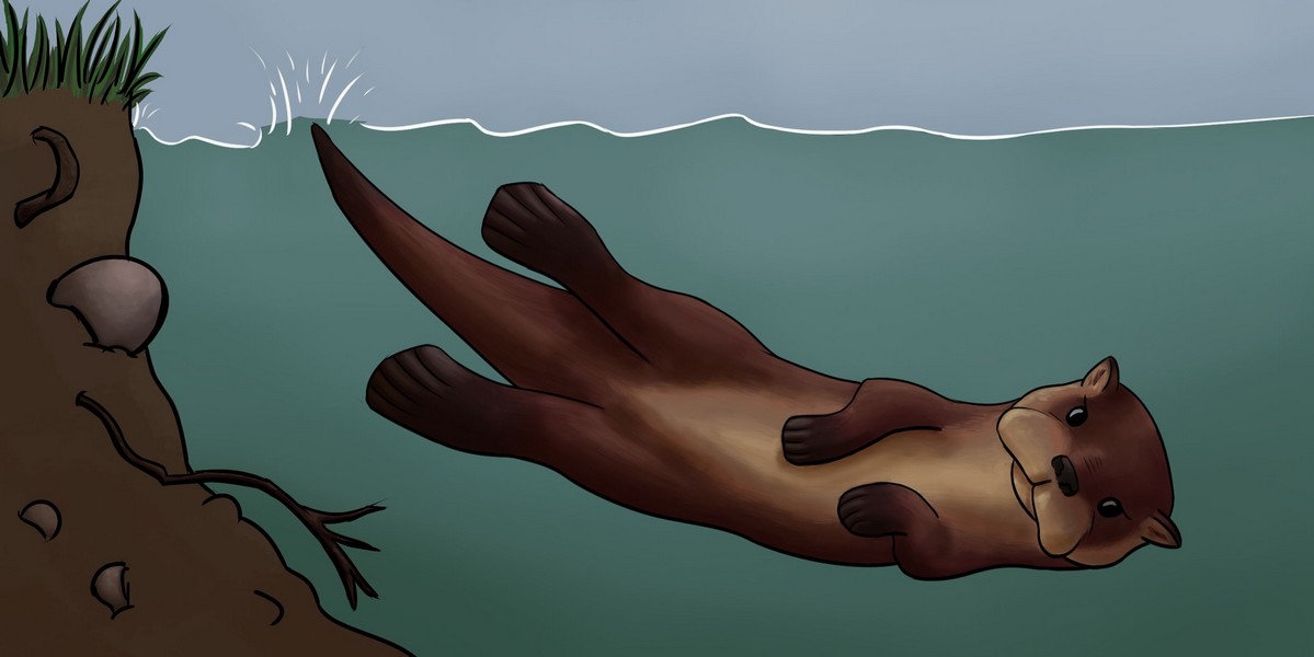 Loutre-4.jpg