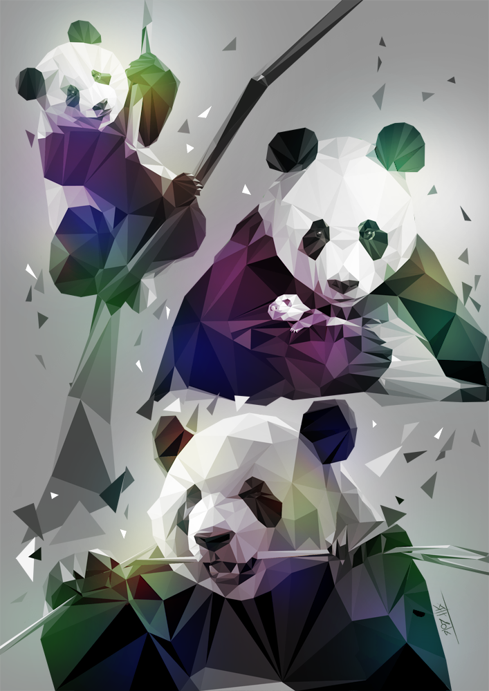Pandas_colorok_web.png