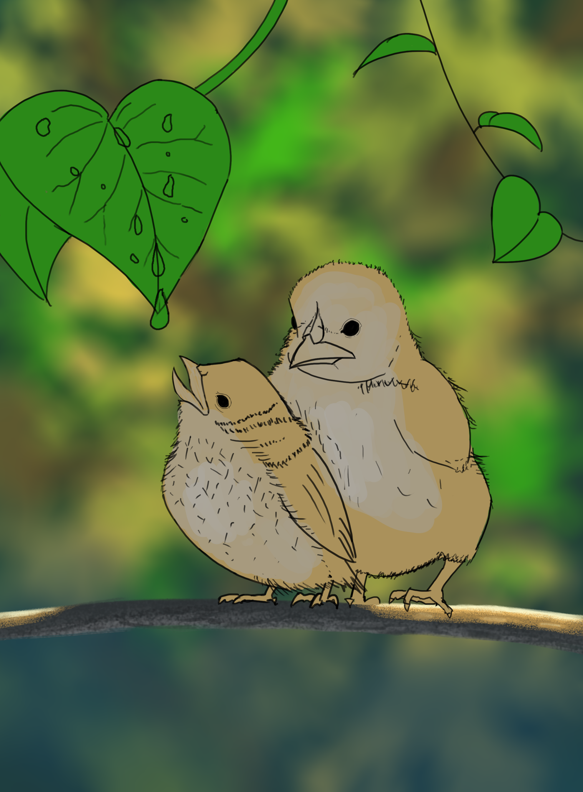 R%C3%A9sultat-DPS-Prog-1-1-Exercice5-Ois