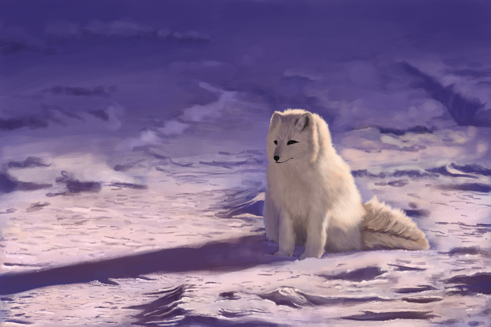 Renard-polaire-2.jpg