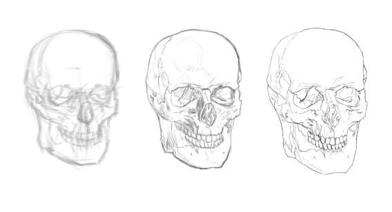 SKULL-SKETCH-1.jpg