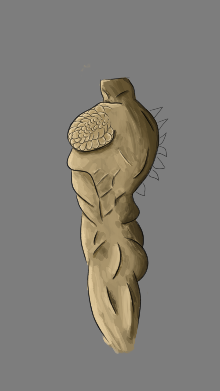 Sketch-body1.png