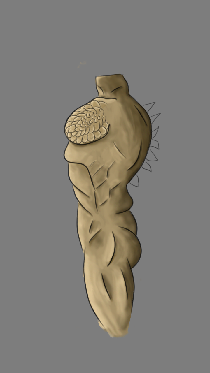 Sketch-body2.png