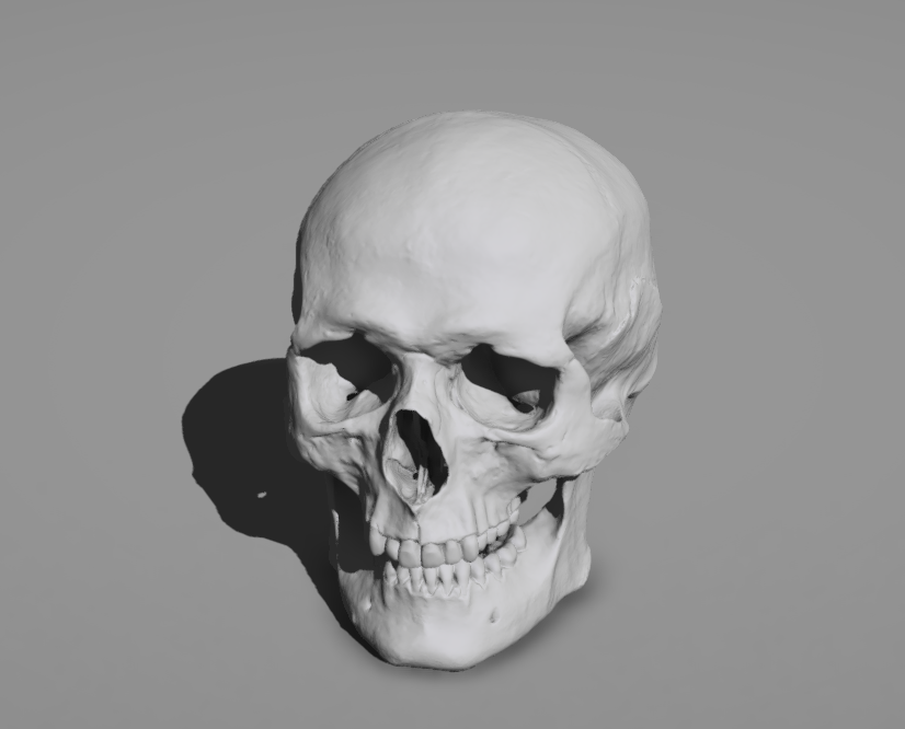 Skull2.png