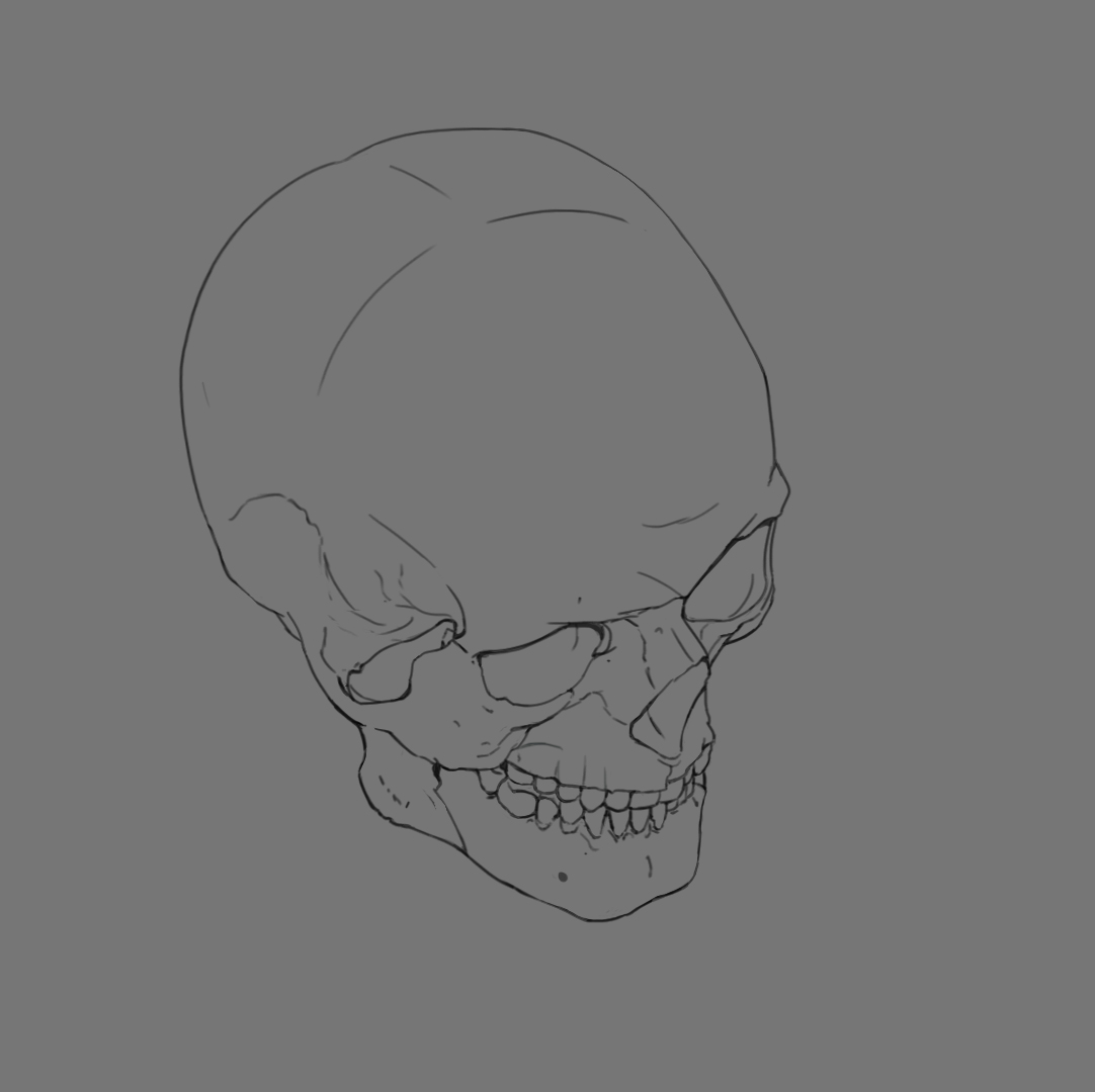 Skull3.jpg
