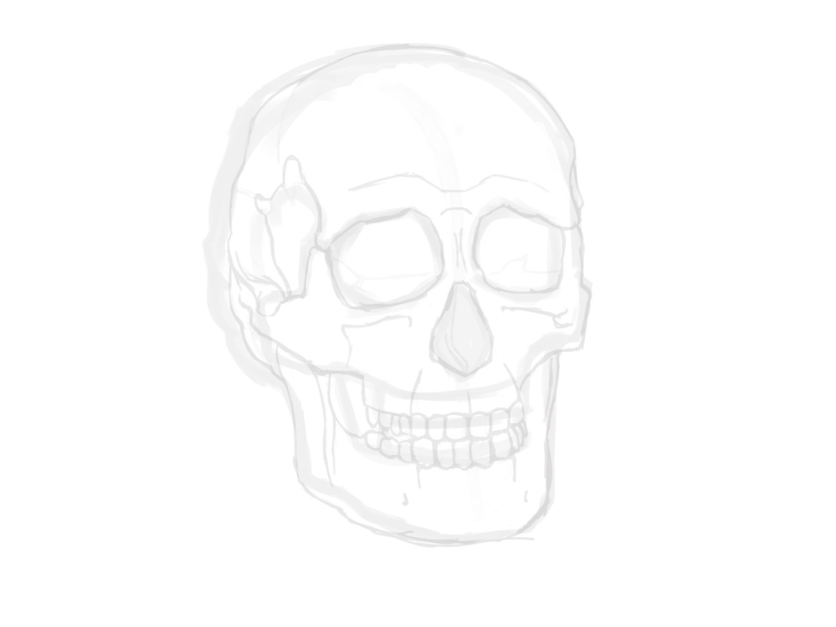 Skull_Step02.jpeg