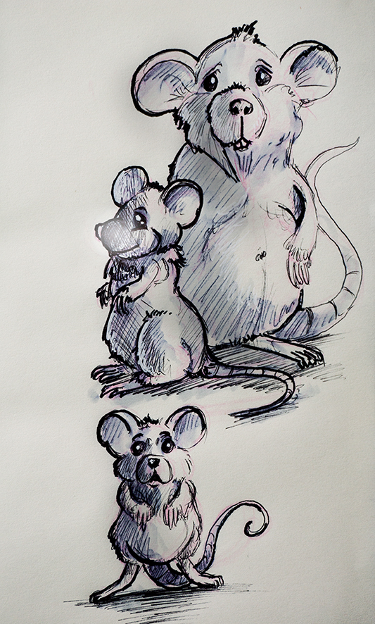 Sourisette-1.jpg