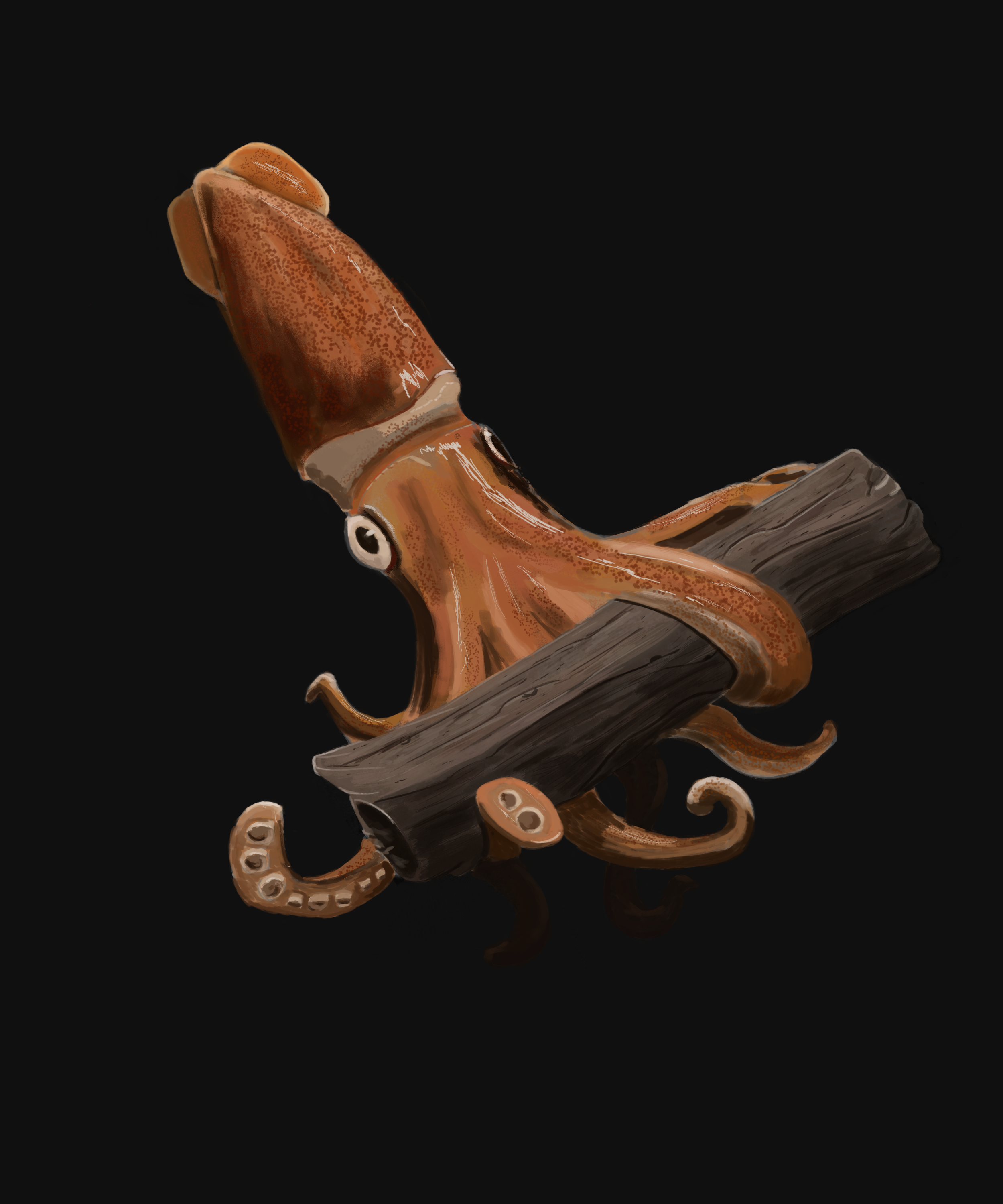 Squid.png