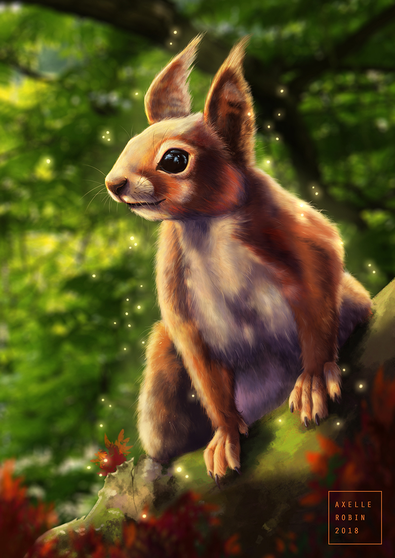 Squirrel-11-juin.jpg