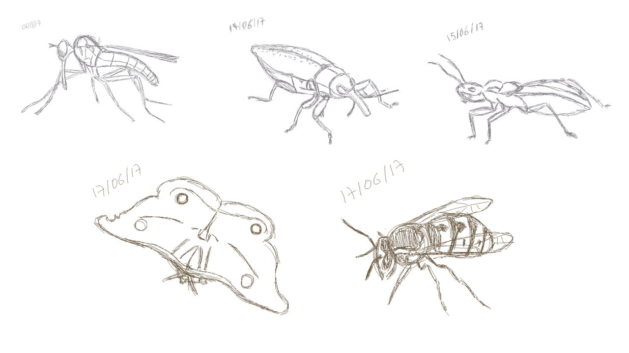 Study-Insects.png