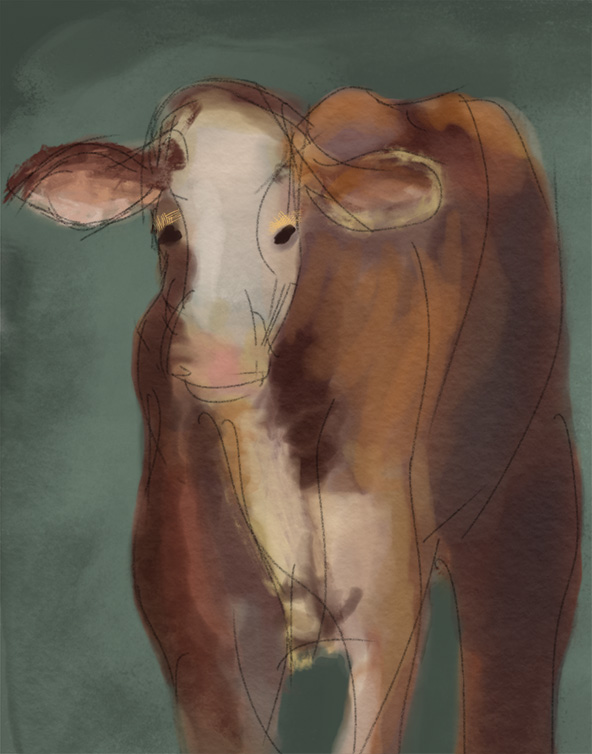 Vache_prise-en-main-Adobe-Sketch.jpg