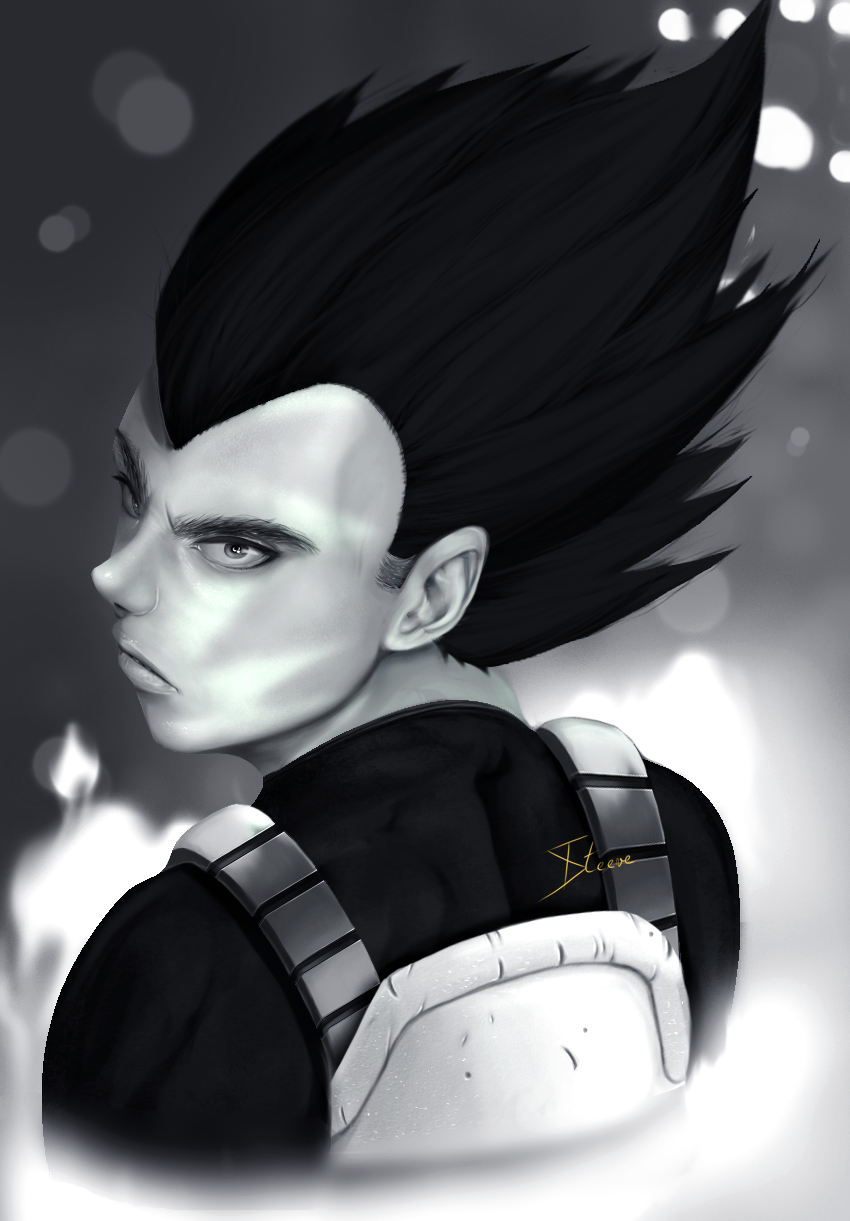 Vegeta_30A.jpg