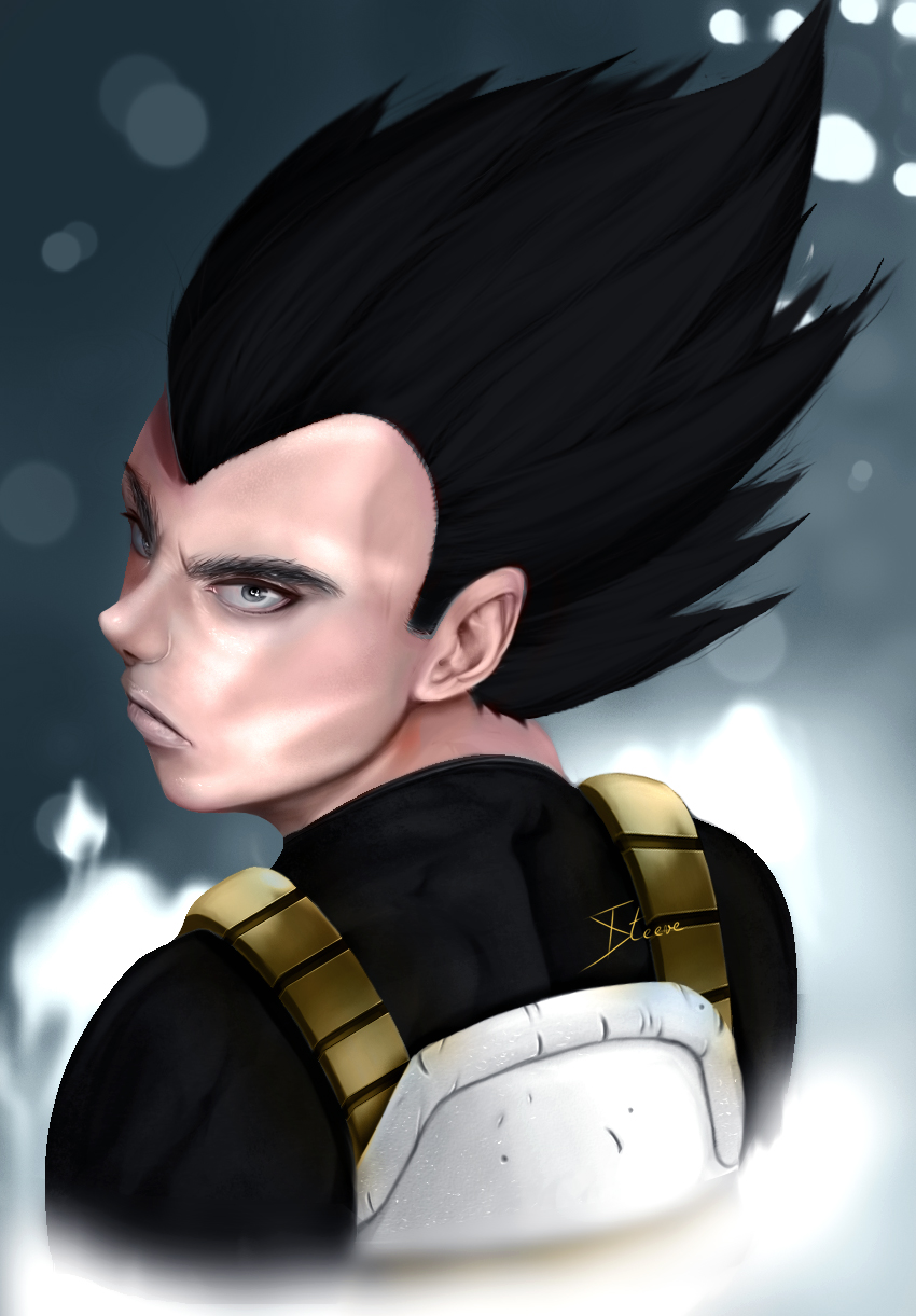 Vegeta_30C.jpg