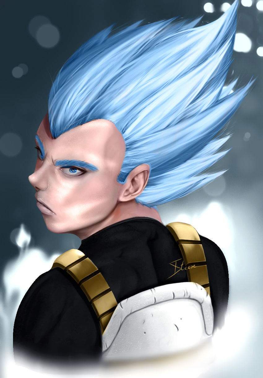 Vegeta_30G.jpg