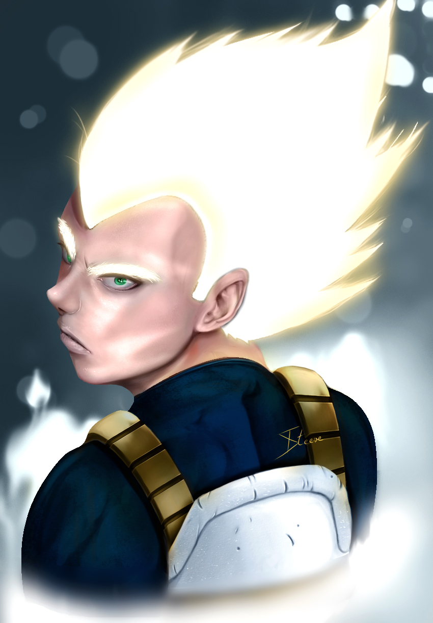 Vegeta_30K.jpg