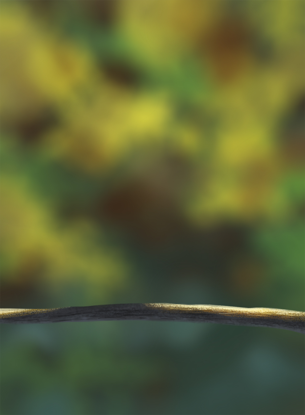 alpha-DPS-Prog-1-1-Exercice5-Oiseau-Comm