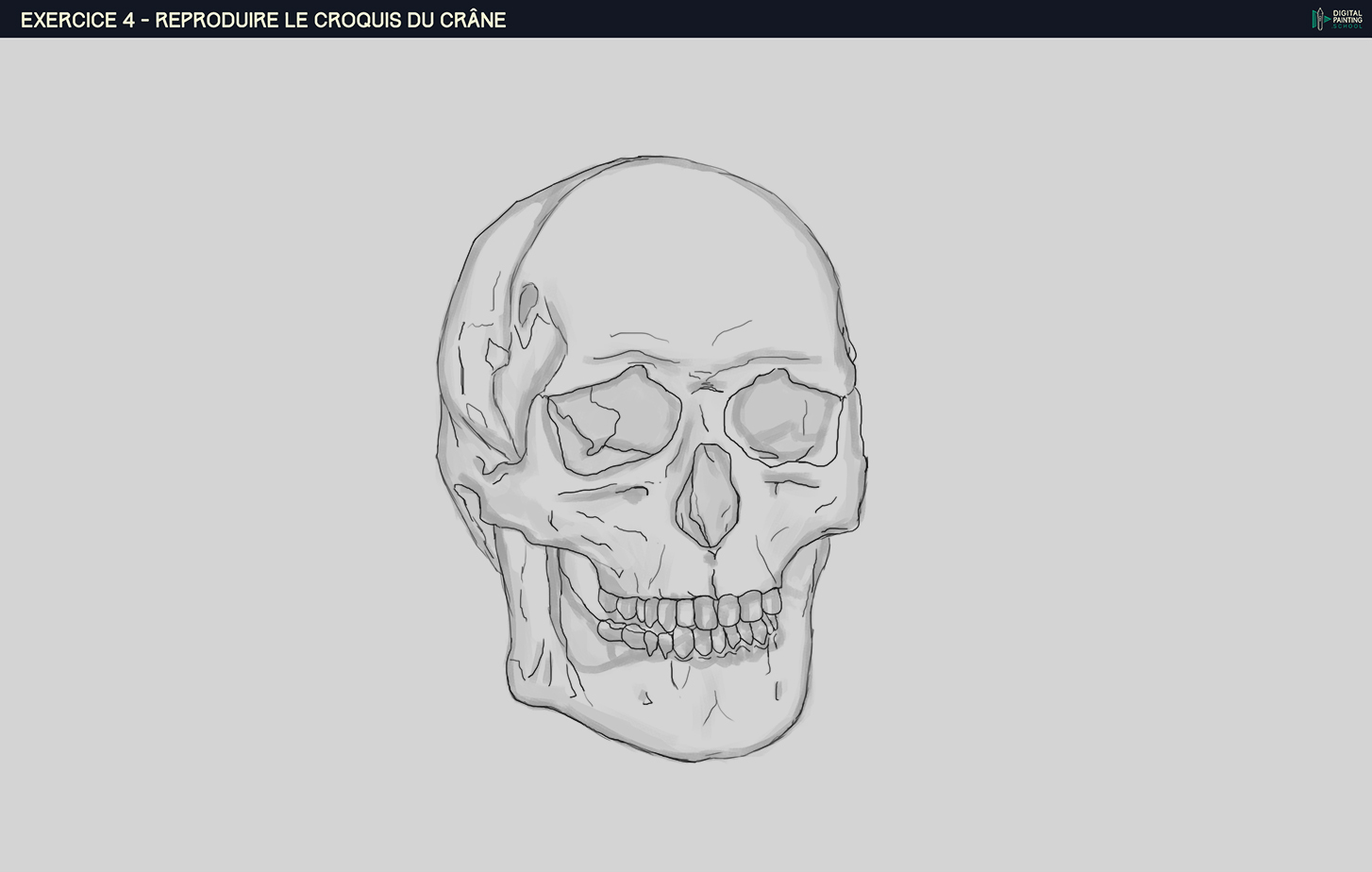 alpha_DPS-Prog-1-2-2-d%C3%A9mo-crane-cro