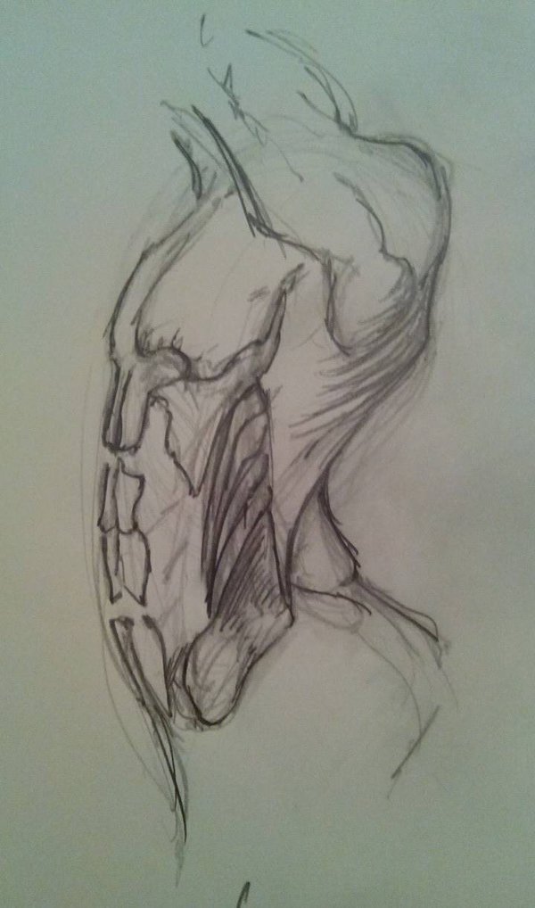 anatomy__1_by_aster1os-dad28s3.jpg