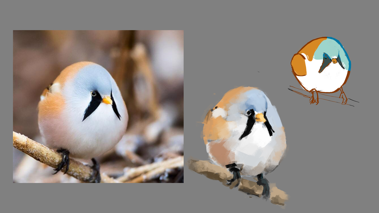 bird-cartoon-study.jpg