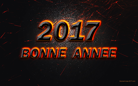 bonne-annee-2017.jpg