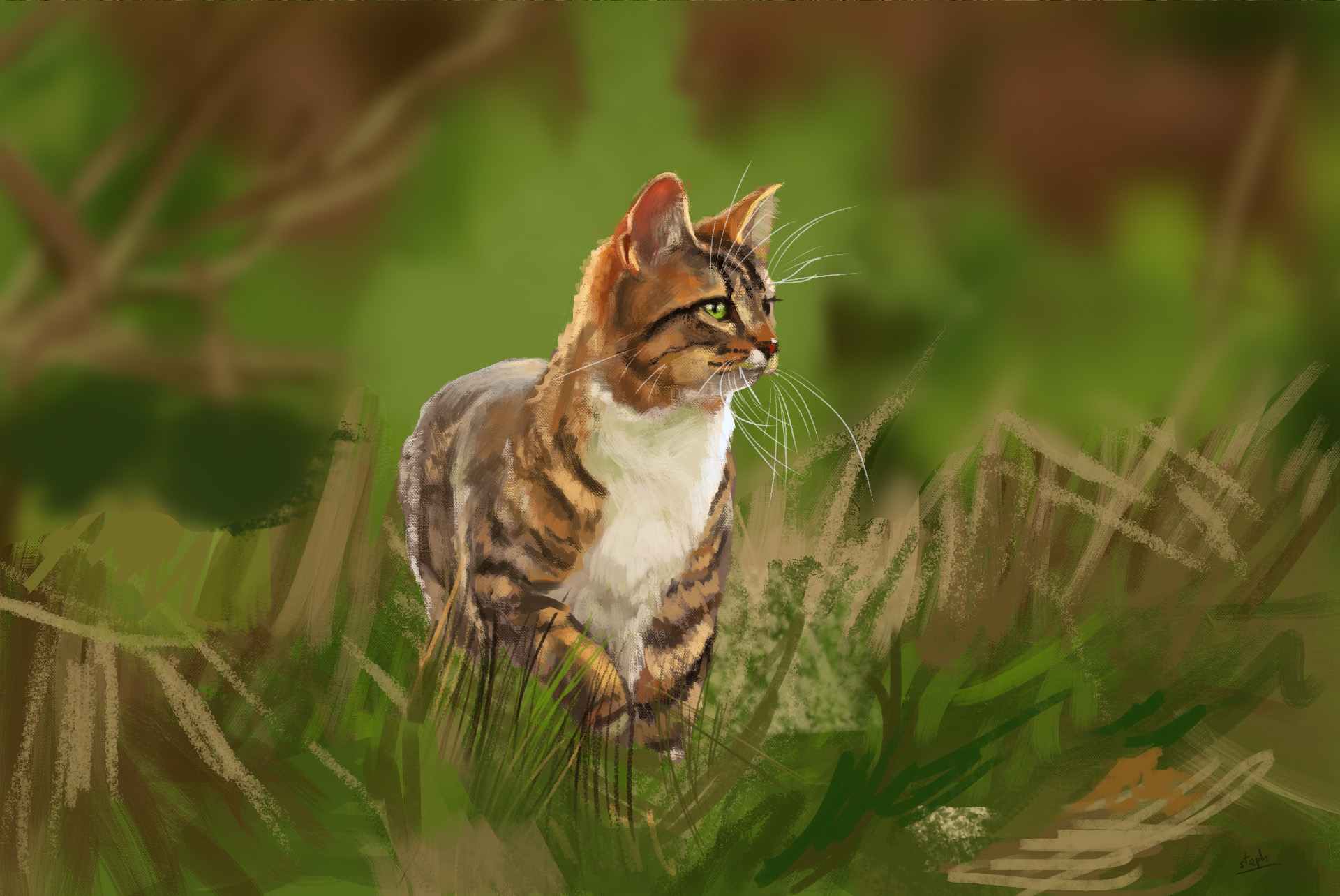catstudy12sr.jpg