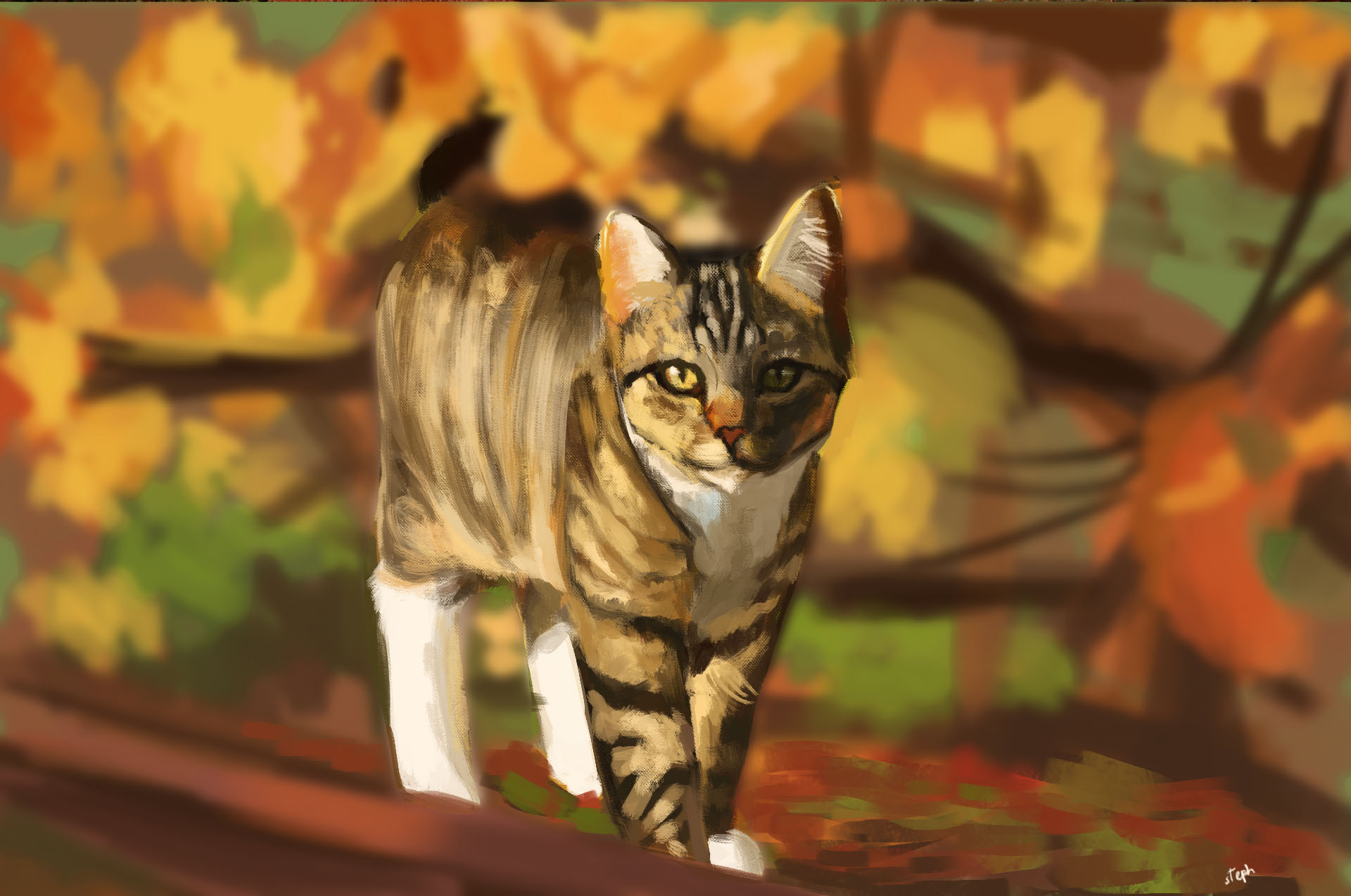 catstudy13.jpg