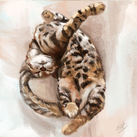 catstudy14-1.jpg